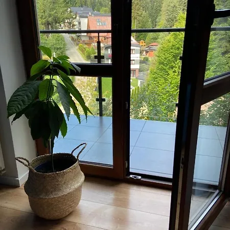 Chleb I Wino Apartament Krynica-Zdrój